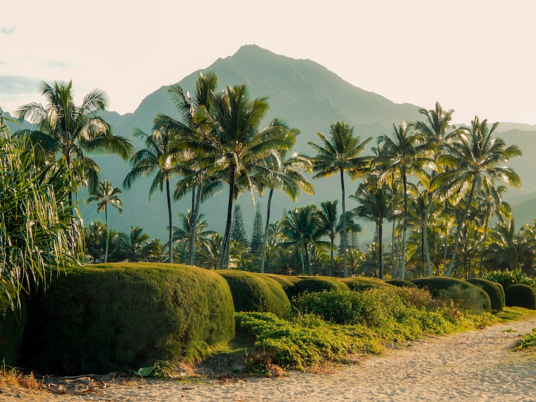 Customized Travel Itineraries